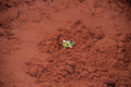 Bague Mini Glacier Verte
