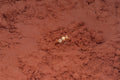 Bague Relief Grenat